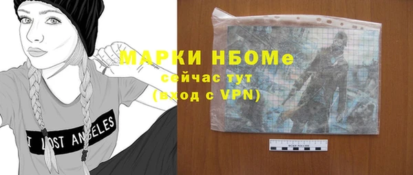 хмурый Осинники