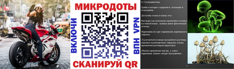 МЕГА ссылка  Юрьевец  Псилоцибиновые грибы Cubensis 